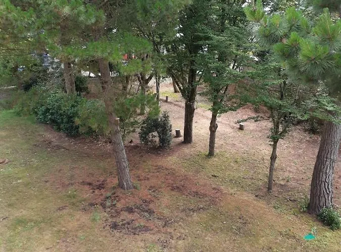 Au Calme Avec Piscine Et Parking Dans Résidence Securisée Saint-Jean-de-Monts